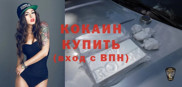 СК Алексин
