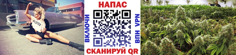 МАРИХУАНА тримм  блэк спрут ссылки  Полевской 